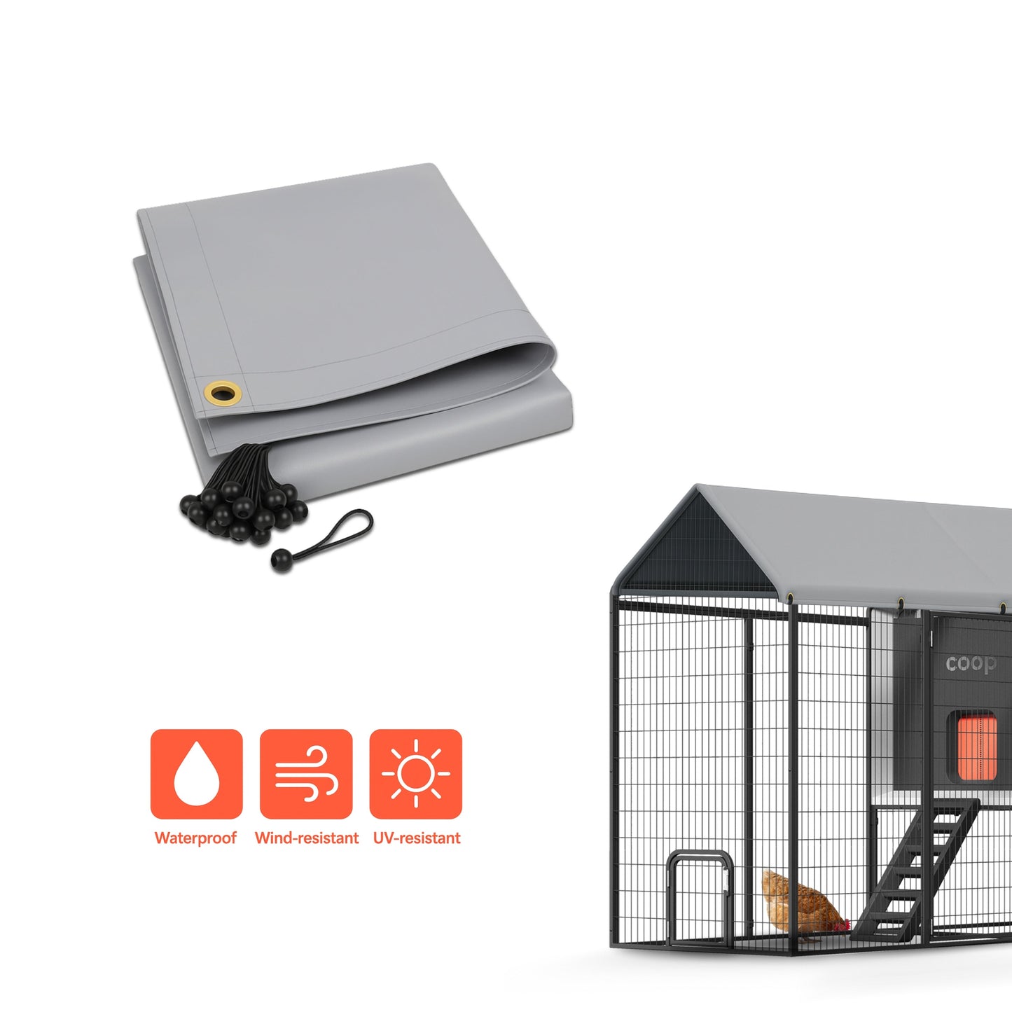 The Smart Coop Unlimited+