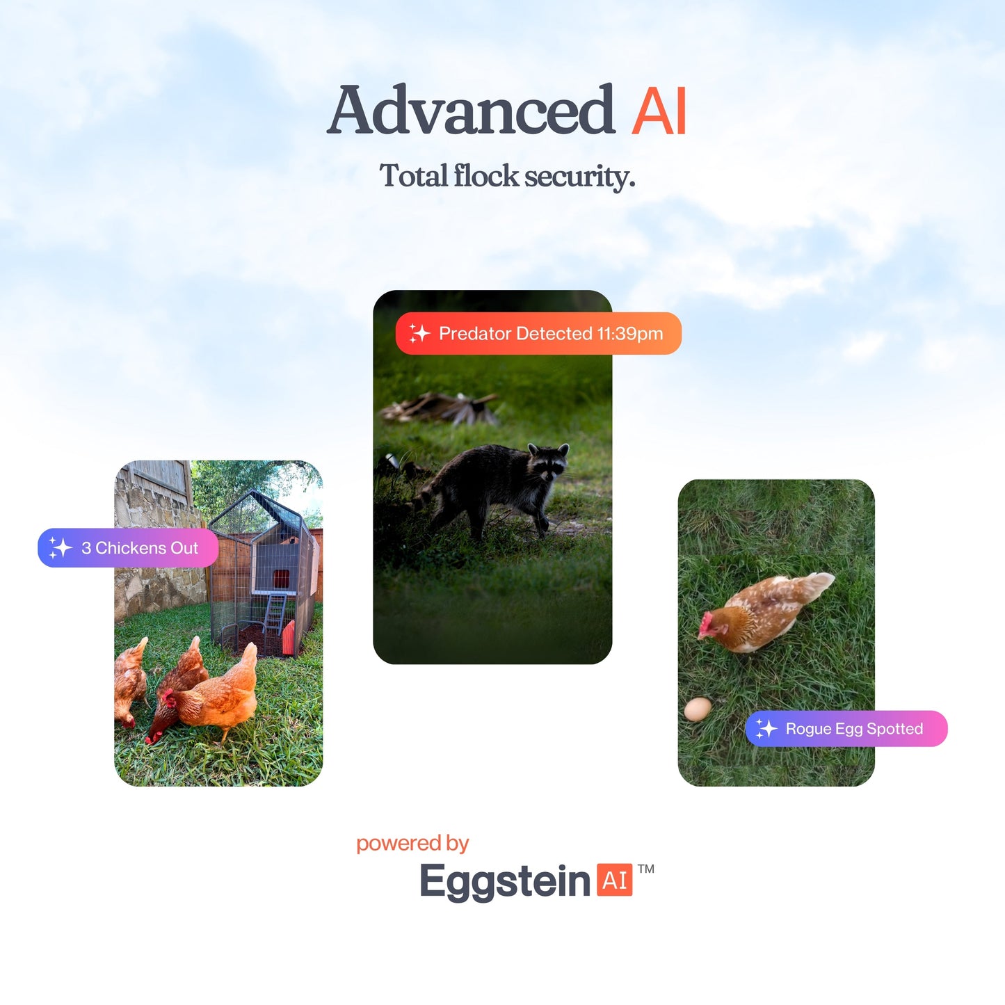 The Smart Coop AI Camera