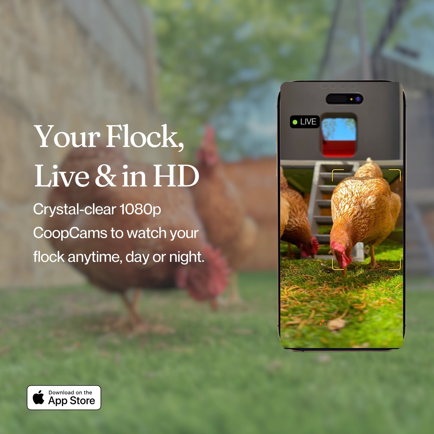 The Smart Coop AI Camera